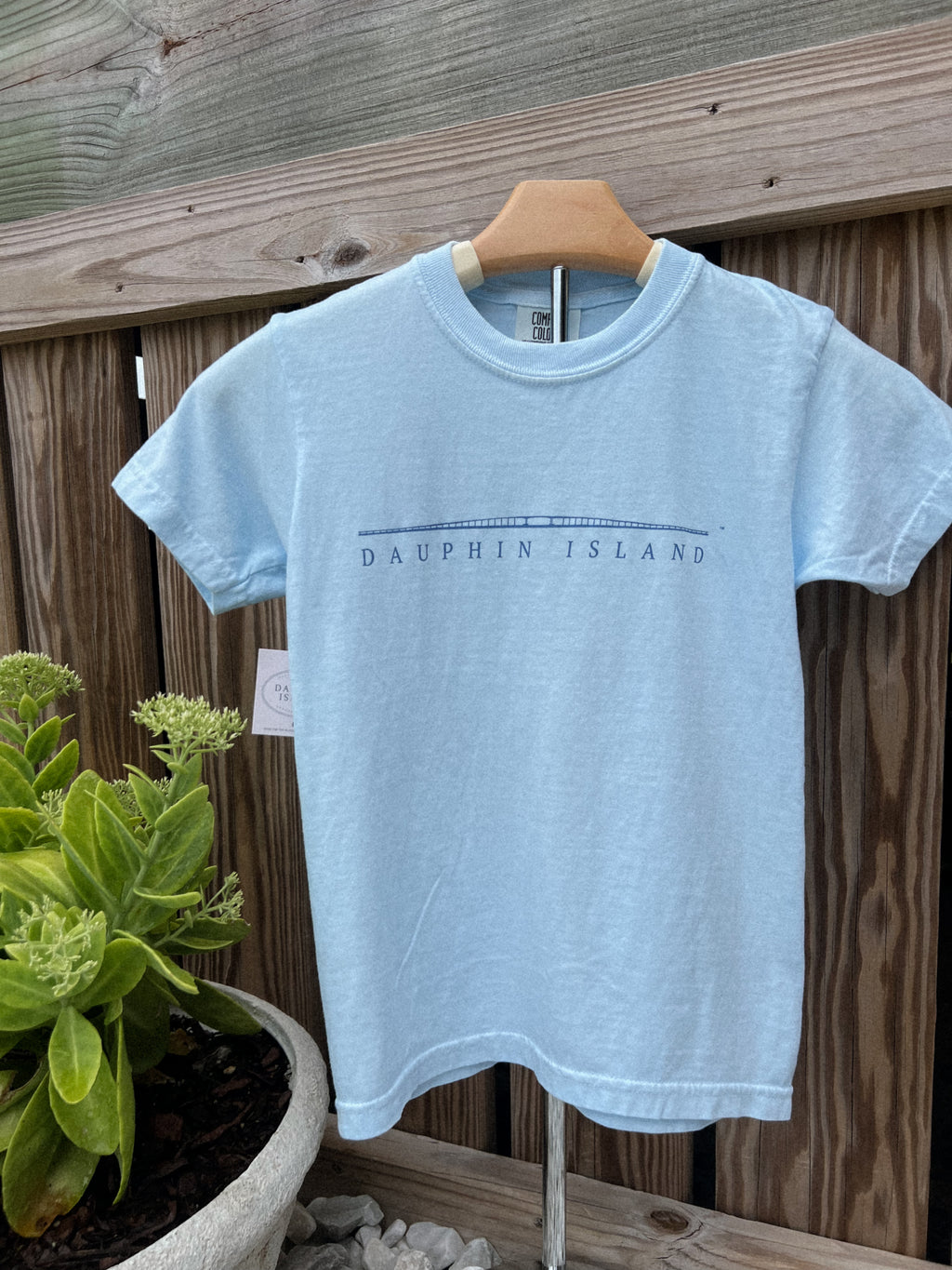 The Bridge Short Sleeve Tee (youth)