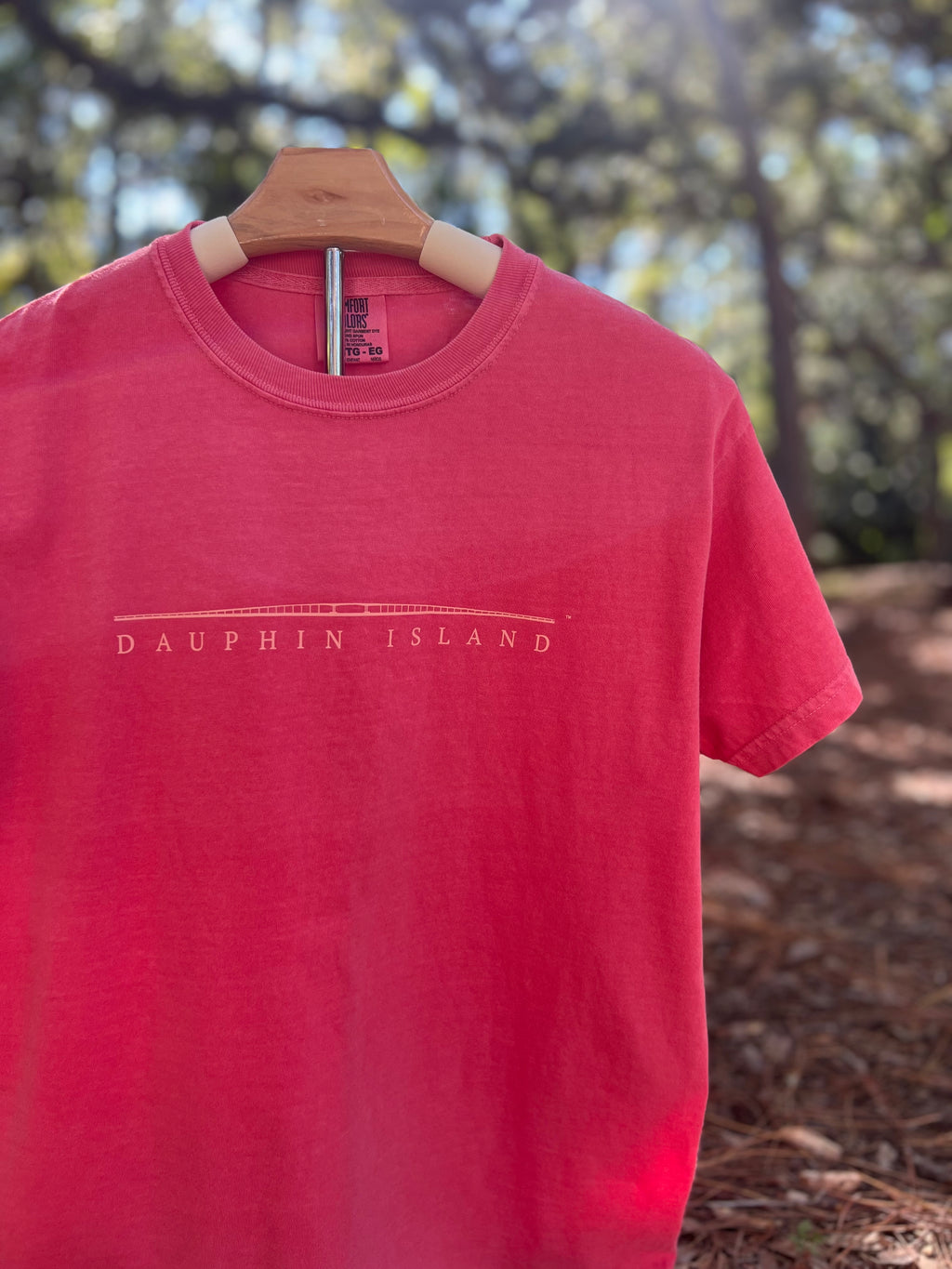 The Bridge Short Sleeve Tee (youth)